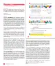 Miniatura página 20 de Sumo Primero – Quinto Básico | Texto del Estudiante MINEDUC – Descargar PDF · 2024