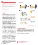 Miniatura página 42 de Sumo Primero – Primero Básico | Texto del Estudiante (MINEDUC) – Descargar PDF · 2024