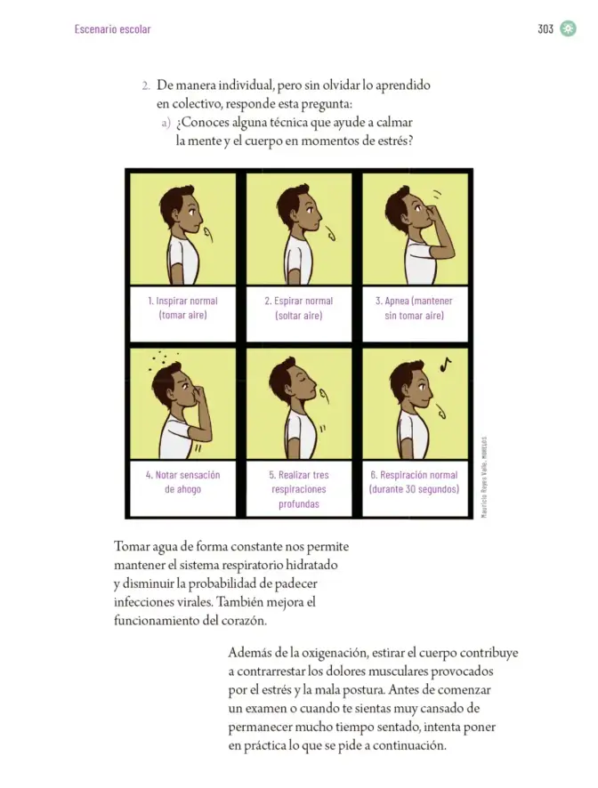 Página 306 de Proyectos Escolares. Libro de Educación Primaria Grado 6° Ciclo Escolar 2025 - 2026