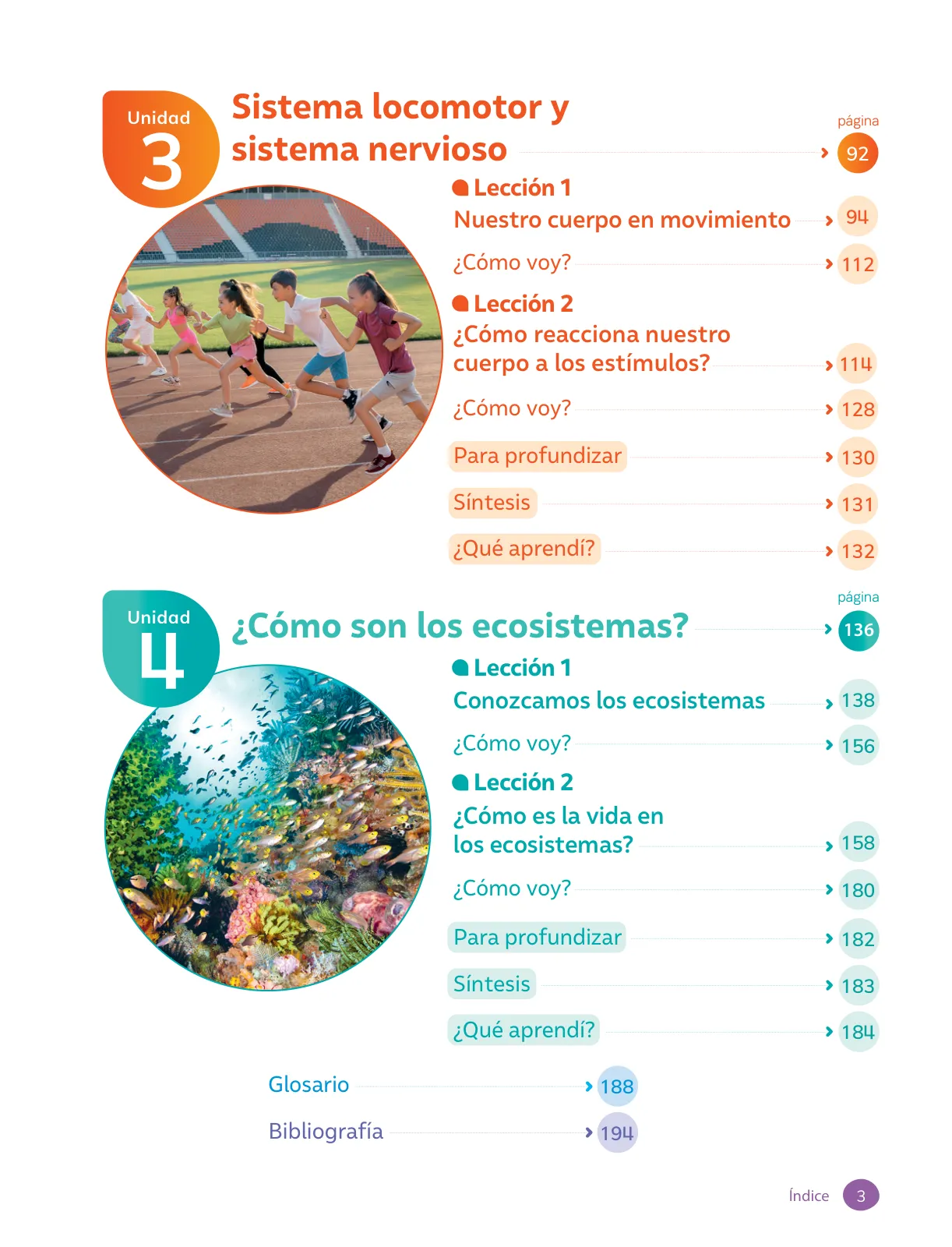 Miniatura página 5 de Ciencias Naturales – Cuarto Básico | Texto del Estudiante MINEDUC – Descargar PDF · 2024