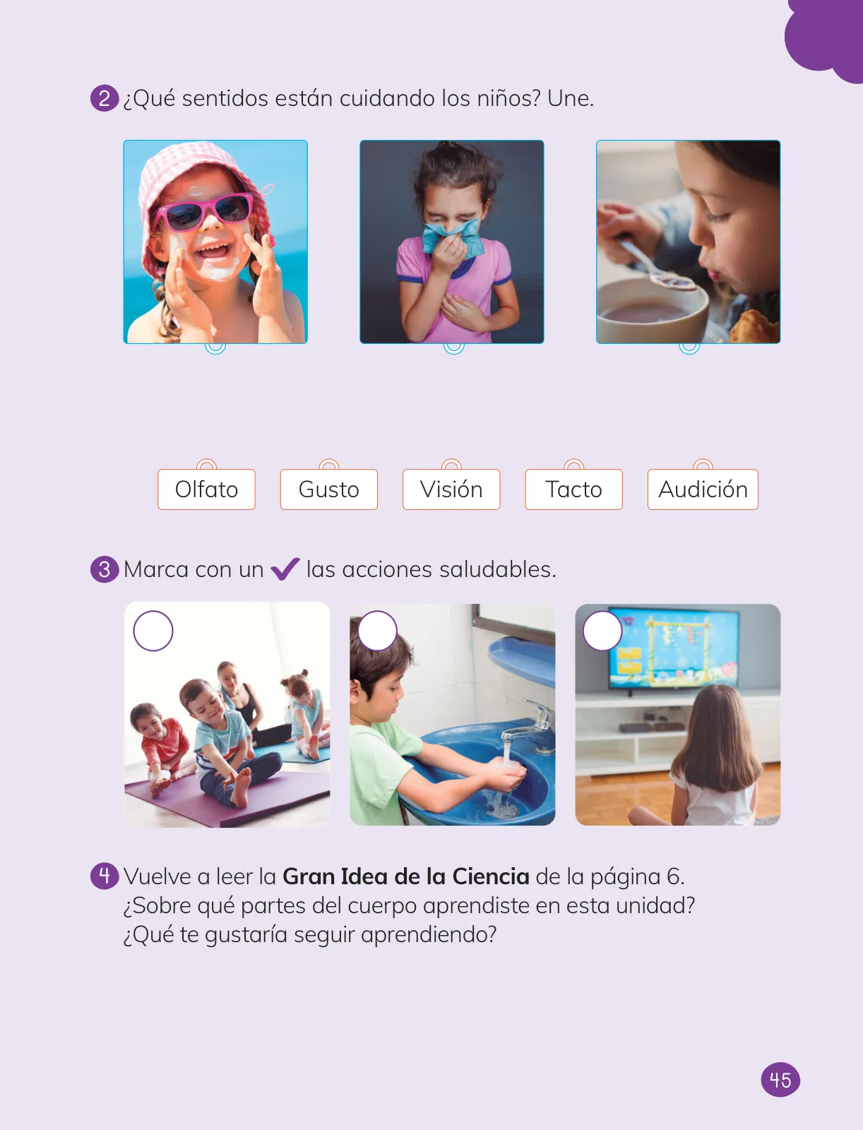 Miniatura página 47 de Ciencias Naturales – Primero Básico | Texto del Estudiante (MINEDUC) – Descargar PDF · 2024