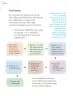 Miniatura página 47 de Proyectos Escolares.   Libro de Educación Primaria Grado 2°  Ciclo Escolar 2025 - 2026