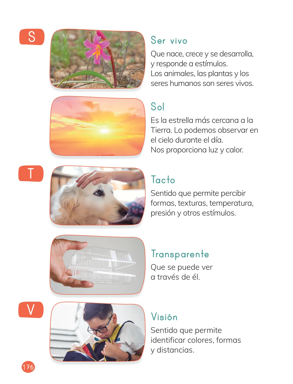 Miniatura página 178 de Ciencias Naturales – Primero Básico | Texto del Estudiante (MINEDUC) – Descargar PDF · 2024
