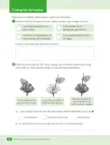 Miniatura página 62 de Ciencias Naturales – Tercero Básico | Texto del Estudiante MINEDUC – Descargar PDF · 2024