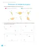 Miniatura página 144 de Matemática – Tercero Básico | Texto del Estudiante MINEDUC – Descargar PDF · 2024