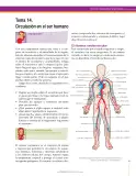 Miniatura página 89 de Ciencias Naturales 7° · Secundaria Activa