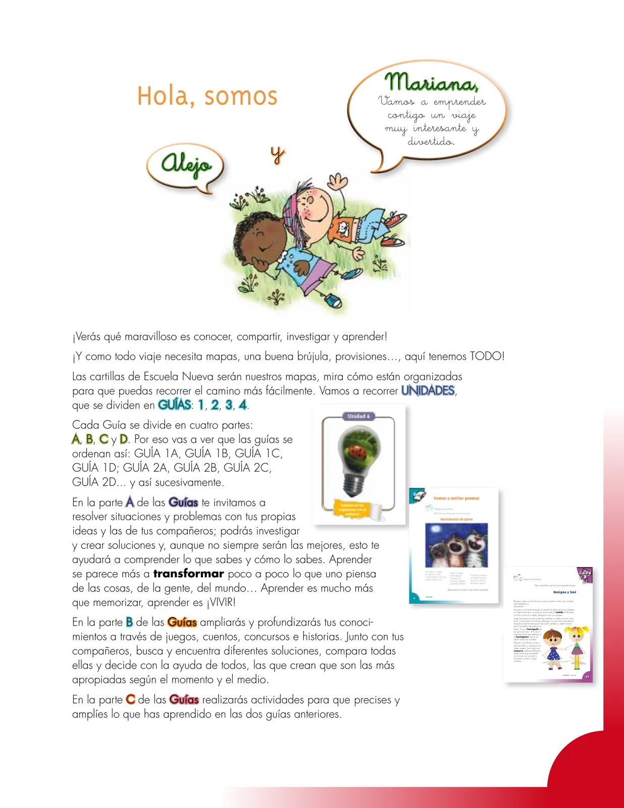 Página 3