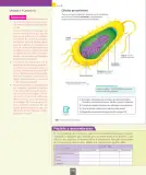Miniatura página 15 de Ciencias Naturales – Séptimo Básico | Texto del Estudiante MINEDUC – Descargar PDF · 2024