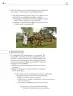 Miniatura página 219 de Colección Nanahuatzin. Nuestro libro de proyectos.   Libro de Educación Secundaria Grado 3°  Ciclo Escolar 2025 - 2026