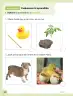 Miniatura página 31 de Ciencias Naturales – Primero Básico | Texto del Estudiante (MINEDUC) – Descargar PDF · 2024