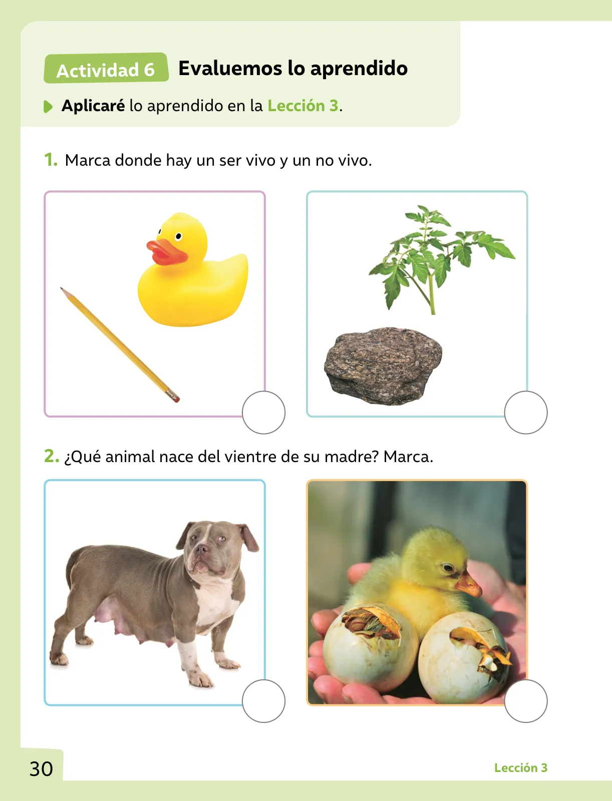 Miniatura página 31 de Ciencias Naturales – Primero Básico | Texto del Estudiante (MINEDUC) – Descargar PDF · 2024
