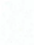 Pág 6