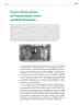 Miniatura página 142 de Colección Sk´asolil. Ética, naturaleza y sociedades.   Libro de Educación Telesecundaria Grado 2°  Ciclo Escolar 2025 - 2026
