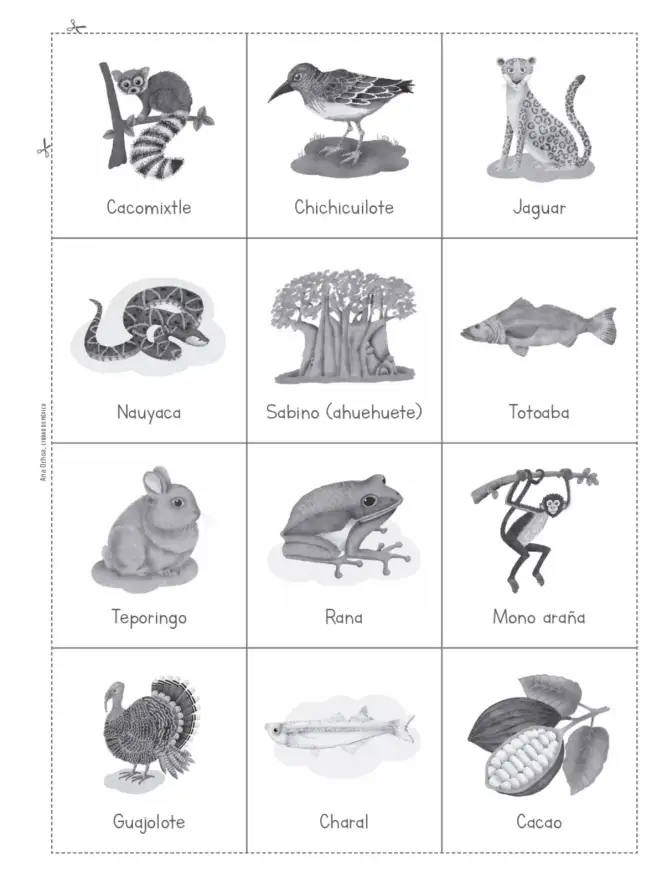 Página 100 de Múltiples lenguajes. Trazos y palabras. Libro de Educación Primaria Grado 2° Ciclo Escolar 2025 - 2026