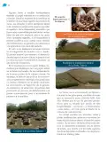 Miniatura página 65 de Nuestros saberes: México, grandeza y diversidad.   Libro de Educación Primaria Grado 4°  Ciclo Escolar 2025 - 2026