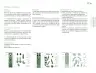 Miniatura página 100 de Posibilidades de trabajo para la acción transformadora y el codiseño. Ficheros. Fase 2  Libro de Educación Preescolar Grado 1°, 2°, 3°  Ciclo Escolar 2025 - 2026