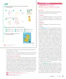 Miniatura página 25 de Sumo Primero – Tercero Básico | Texto del Estudiante MINEDUC – Descargar PDF · 2024