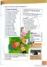 Miniatura página 205 de Lengua Y Literatura 3° · Egb 3 Lengua Y Literatura 2025 · 2025