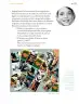 Miniatura página 258 de Proyectos Comunitarios.   Libro de Educación Primaria Grado 5°  Ciclo Escolar 2025 - 2026