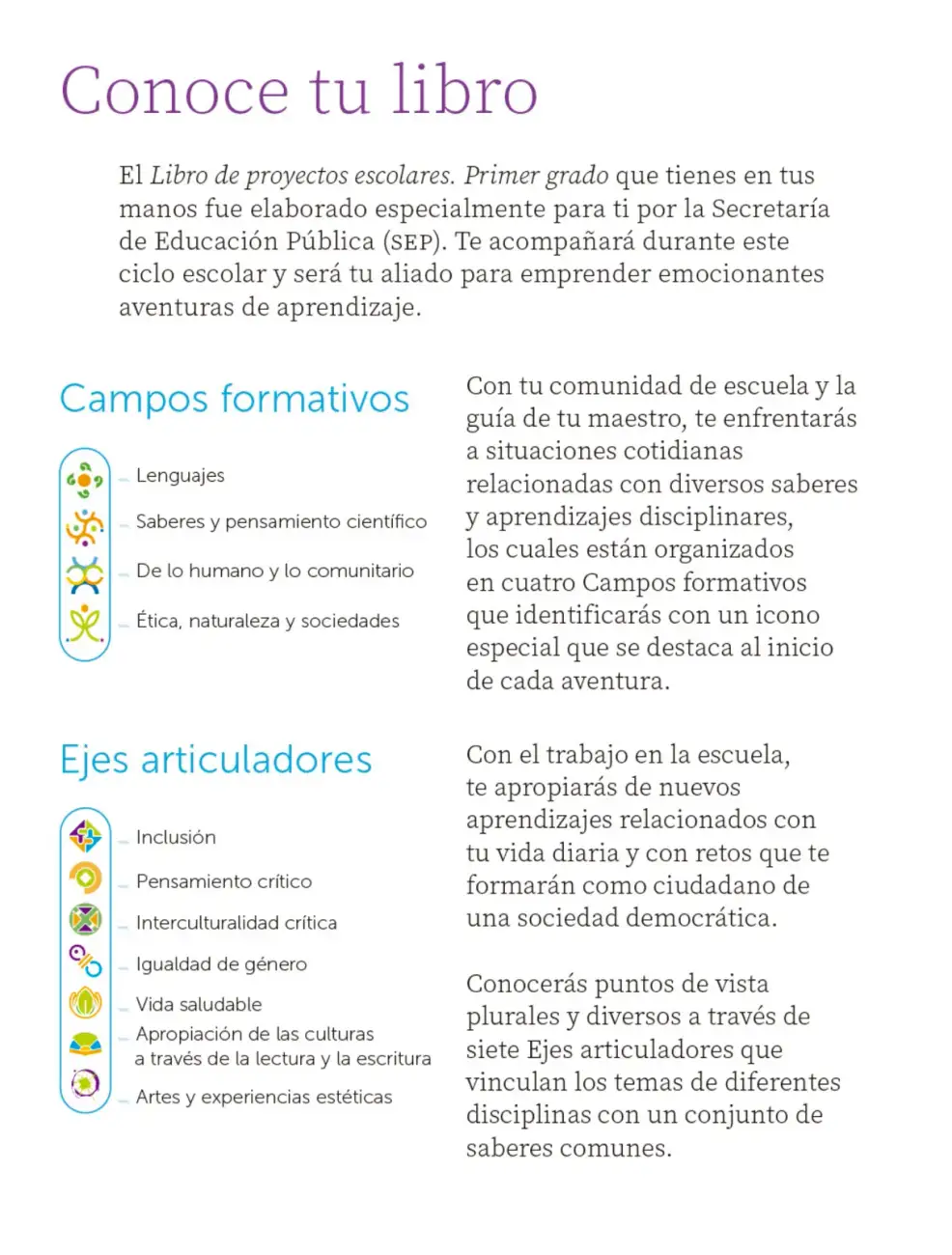 Página 5