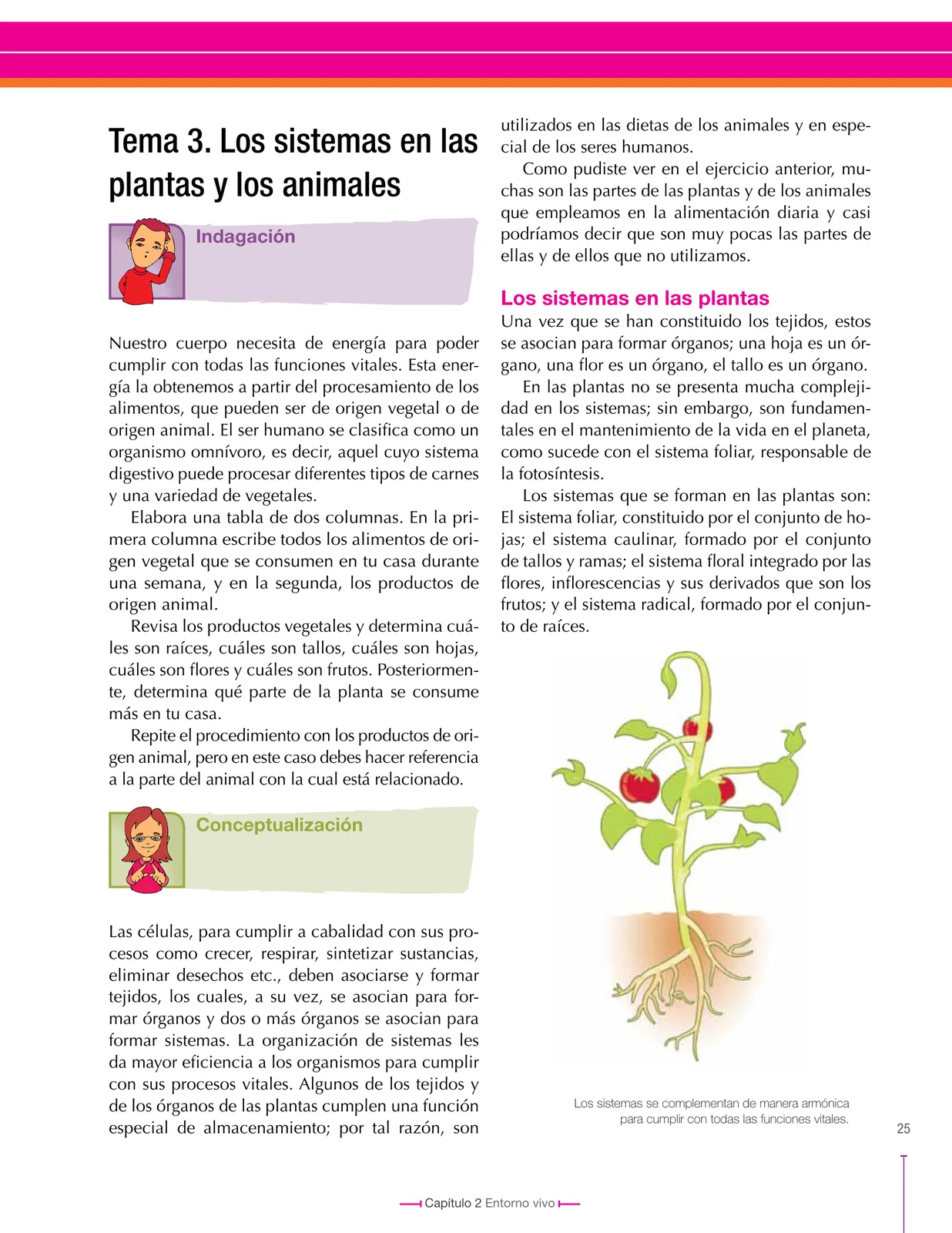 Página 25 de Ciencias Naturales 8° · Secundaria Activa