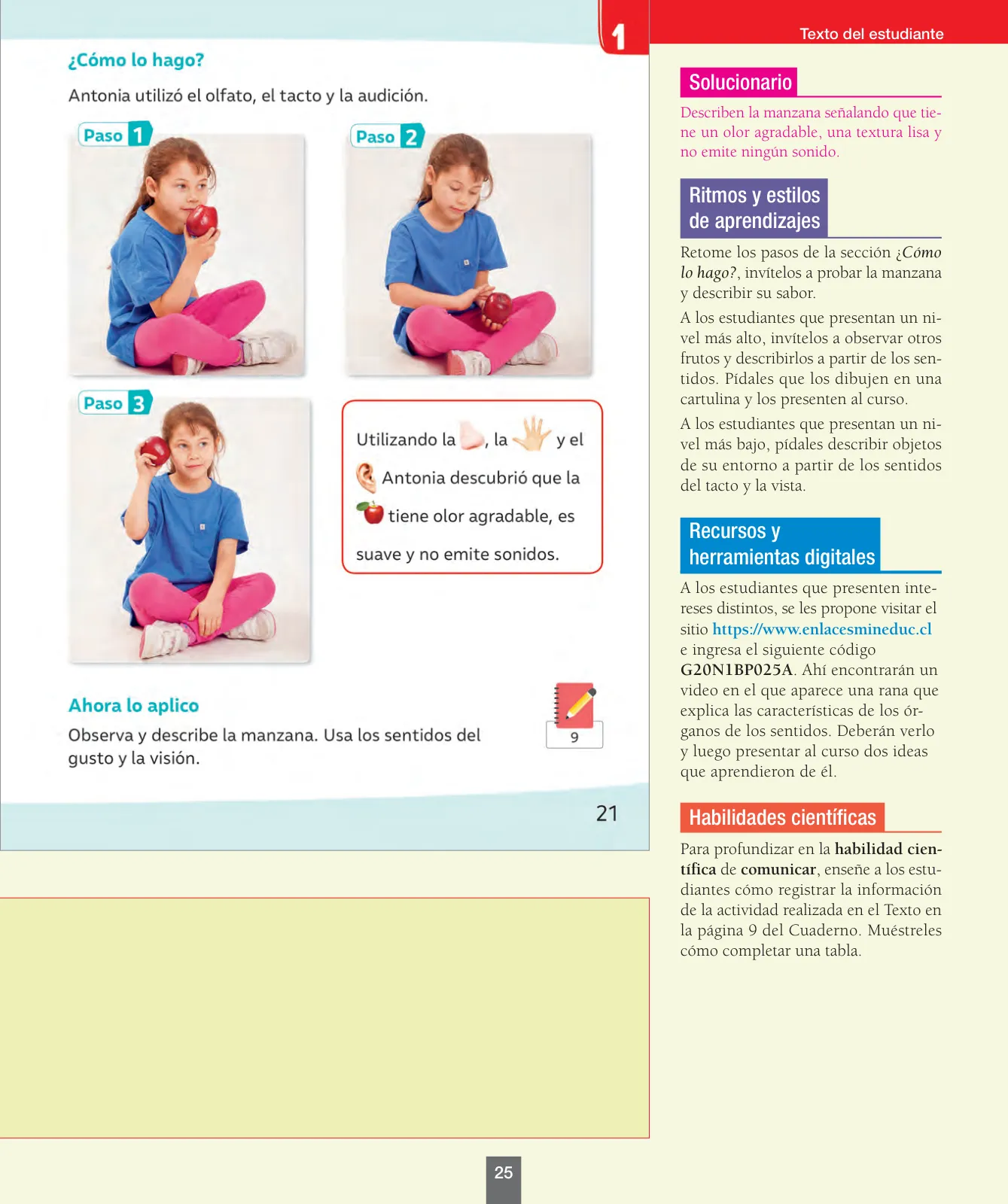 Miniatura página 26 de Ciencias Naturales – Primero Básico | Texto del Estudiante (MINEDUC) – Descargar PDF · 2024