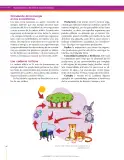 Miniatura página 148 de Ciencias Naturales 6° · Secundaria Activa