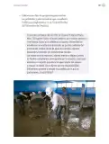 Miniatura página 198 de Proyectos Escolares.   Libro de Educación Primaria Grado 6°  Ciclo Escolar 2025 - 2026