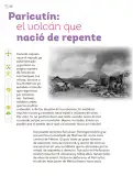 Miniatura página 133 de Múltiples lenguajes.   Libro de Educación Primaria Grado 5°  Ciclo Escolar 2025 - 2026
