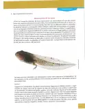 Miniatura página 217 de Lengua Y Literatura 8° · Egb 8 Lengua Y Literatura 2025 · 2025