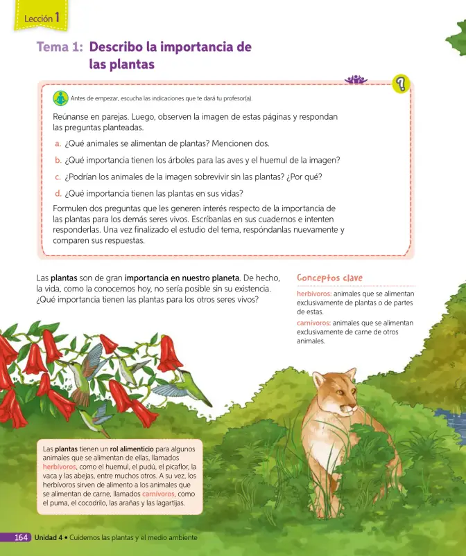 Página 141 de Ciencias Naturales – Tercero Básico | Texto del Estudiante MINEDUC – Descargar PDF · 2024