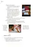 Miniatura página 73 de Proyectos Comunitarios.   Libro de Educación Primaria Grado 5°  Ciclo Escolar 2025 - 2026