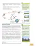 Miniatura página 18 de Ciencias Naturales 8° · Egb 8 Ciencias Naturales 2025 · 2025