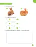 Miniatura página 51 de Ciencias Naturales – Primero Básico | Texto del Estudiante (MINEDUC) – Descargar PDF · 2024