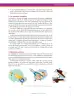 Miniatura página 219 de Ciencias Naturales 8° · Secundaria Activa