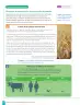 Miniatura página 28 de Historia, Geografía y Ciencias Sociales – Séptimo Básico | Texto del Estudiante MINEDUC – Descargar PDF · 2024