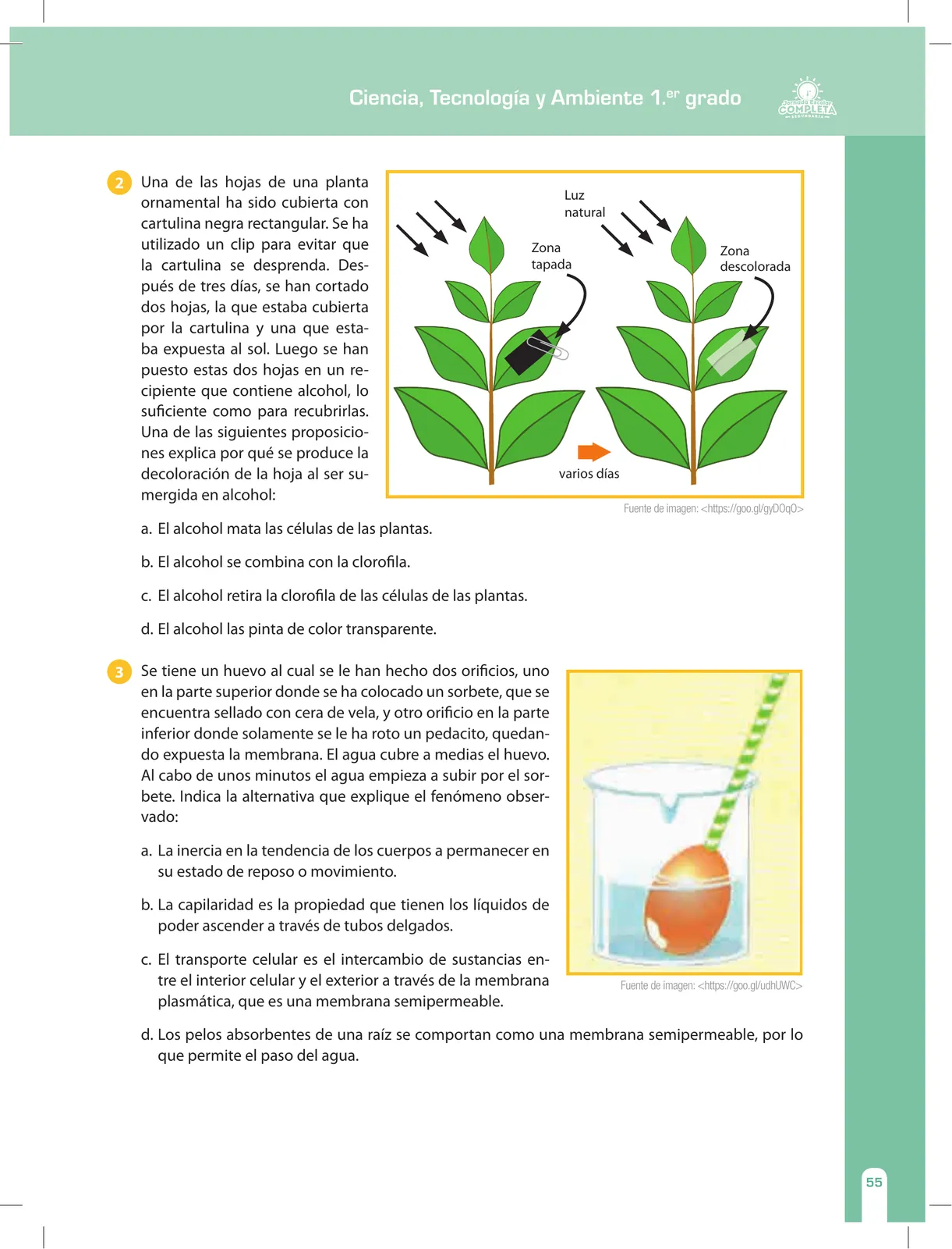 Miniatura página 55 de Ciencia, Tecnología y Ambiente 1. Cuaderno de reforzamiento pedagógico - JEC · 2016