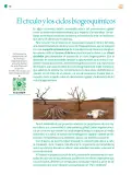 Miniatura página 107 de Colección Ximhai. Nuestro libro de Proyectos.  Tomo II.   Libro de Educación Telesecundaria Grado 1°  Ciclo Escolar 2025 - 2026