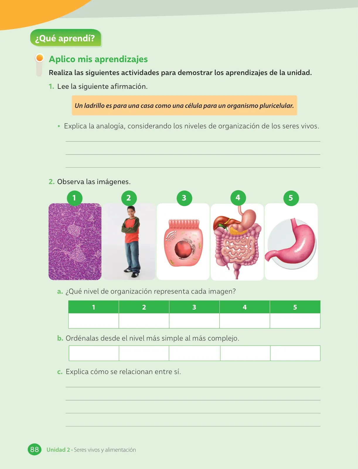 Miniatura página 90 de Libro de Ciencias Naturales – Quinto Básico | Texto del Estudiante MINEDUC – Descargar PDF · 2024