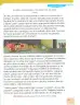 Miniatura página 236 de Lengua Y Literatura 2° · Egb 2 Lengua Y Literatura 2025 · 2025