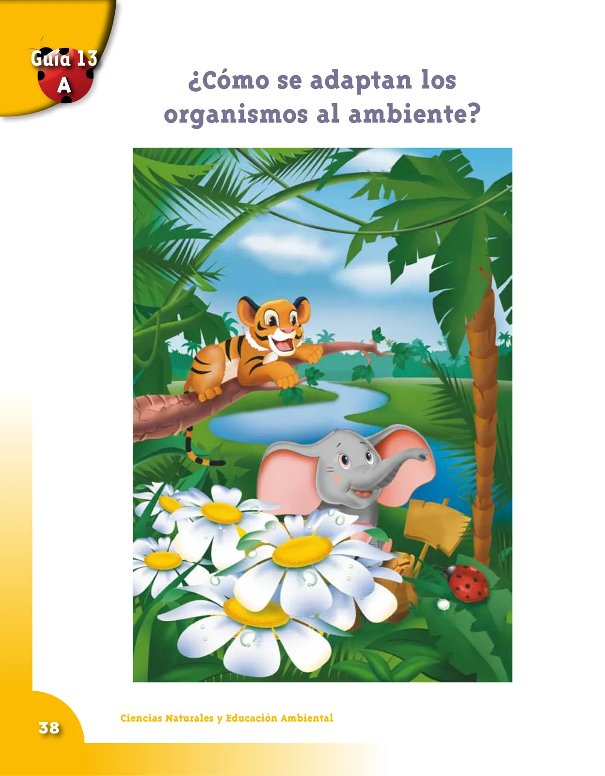 Página 38 de Ciencias Naturales 3° · Cartilla 02