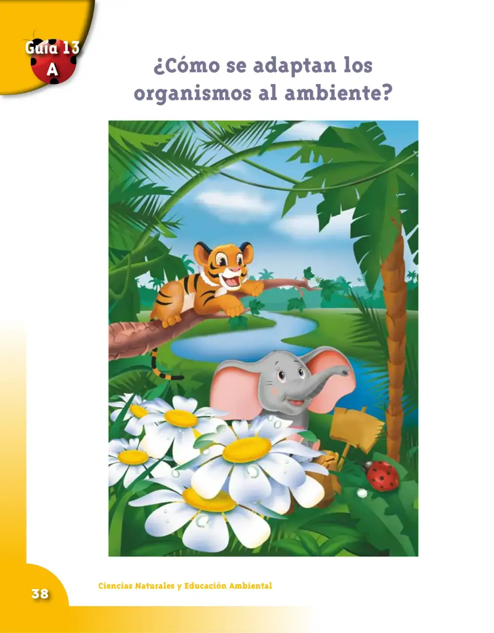 Página 38
