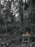 Pág 191