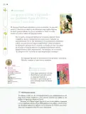 Miniatura página 27 de Nuestros saberes: Libro para alumnos, maestros y familia.   Libro de Educación Primaria Grado 6°  Ciclo Escolar 2025 - 2026