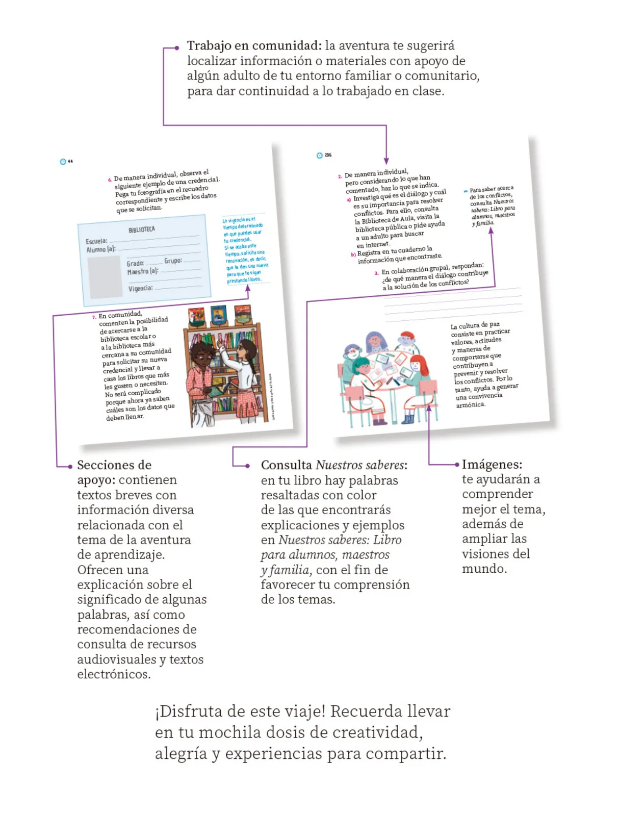 Página 7 de Proyectos Escolares. Libro de Educación Primaria Grado 1° Ciclo Escolar 2025 - 2026