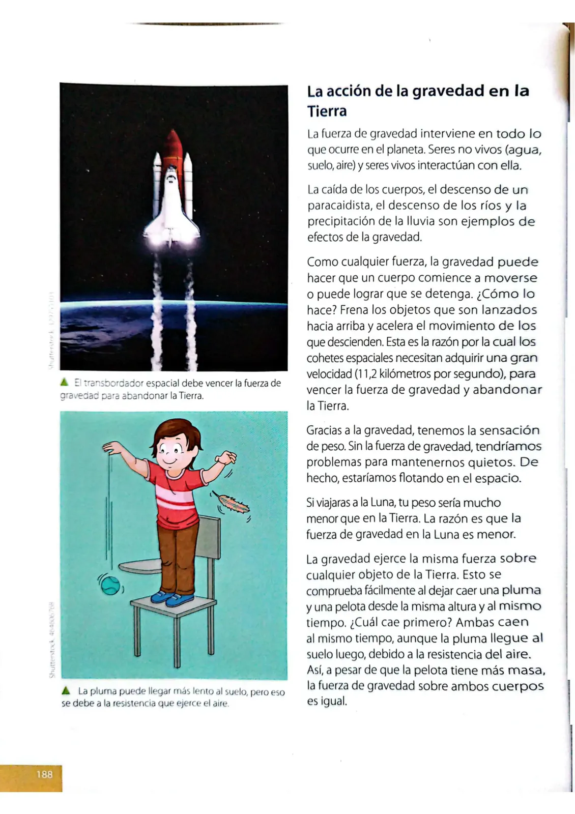 Miniatura página 185 de Ciencias Naturales · 4 EGB · 2025