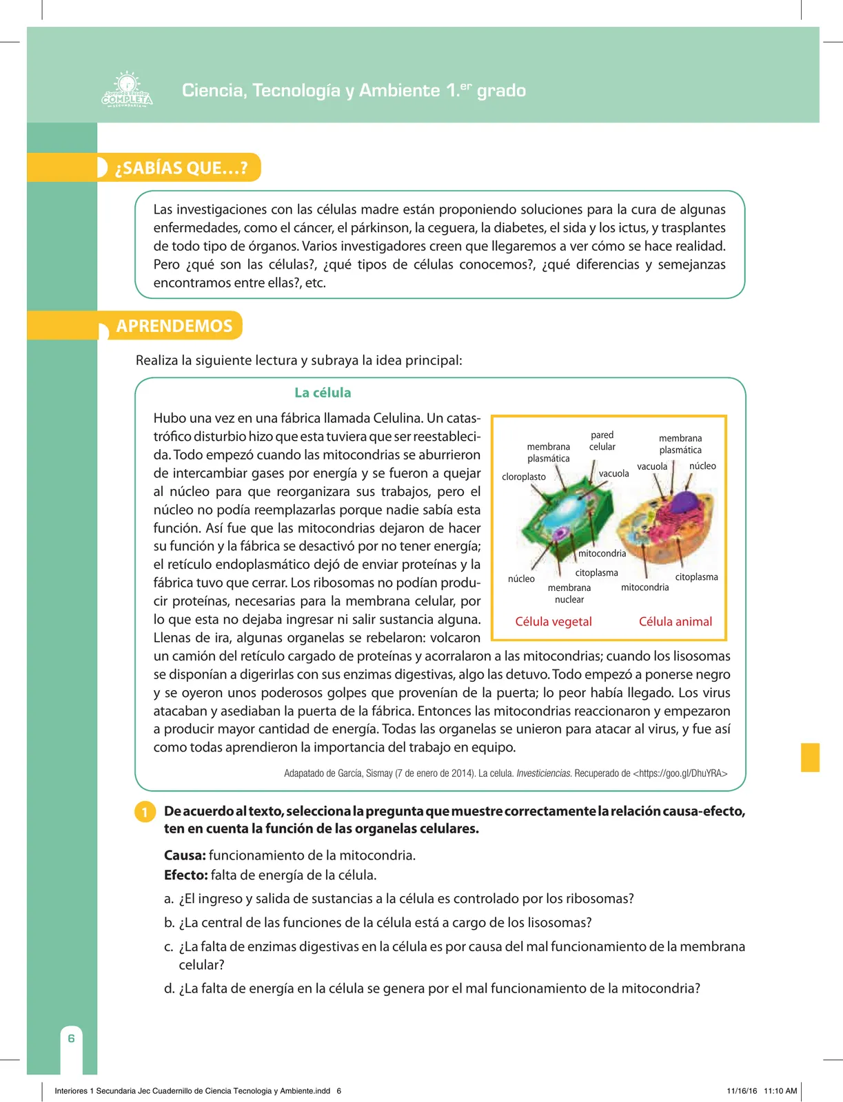 Miniatura página 6 de Ciencia, Tecnología y Ambiente 1. Cuaderno de reforzamiento pedagógico - JEC · 2016