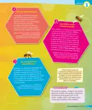 Miniatura página 76 de Ciencias Naturales – Tercero Básico | Texto del Estudiante MINEDUC – Descargar PDF · 2024