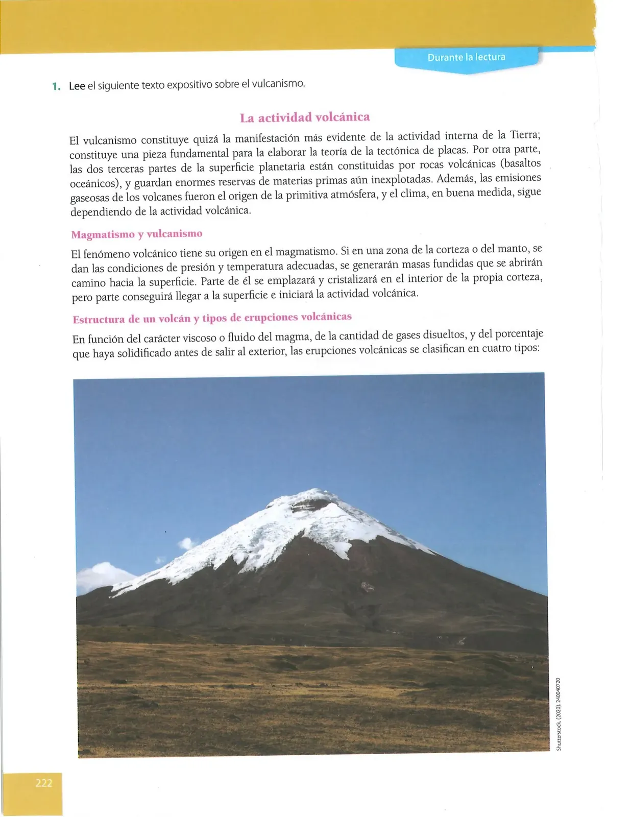 Página 222 de Lengua Y Literatura · 8 EGB · 2025