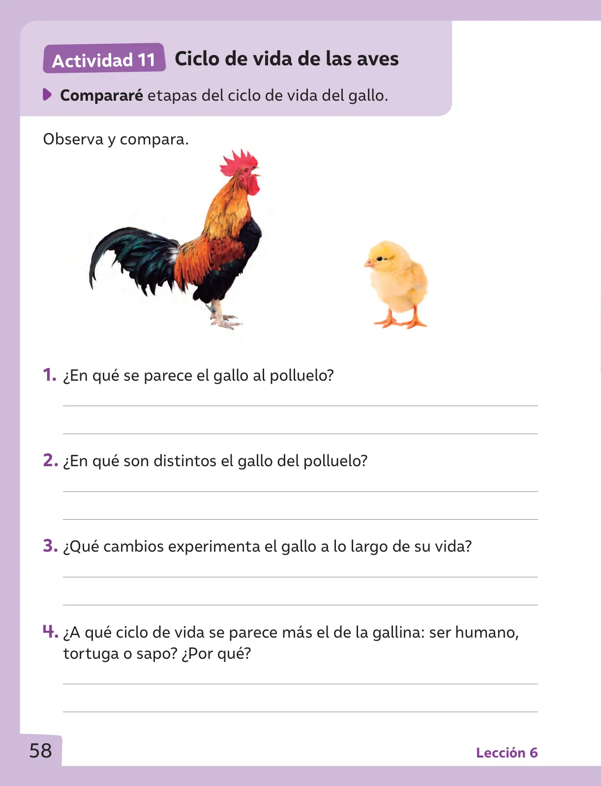 Pág 59